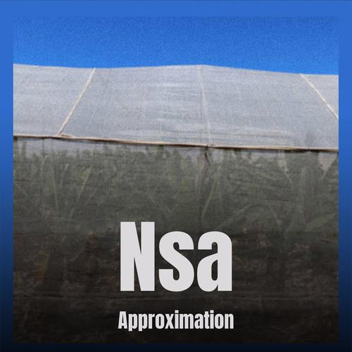 Nsa Approximation