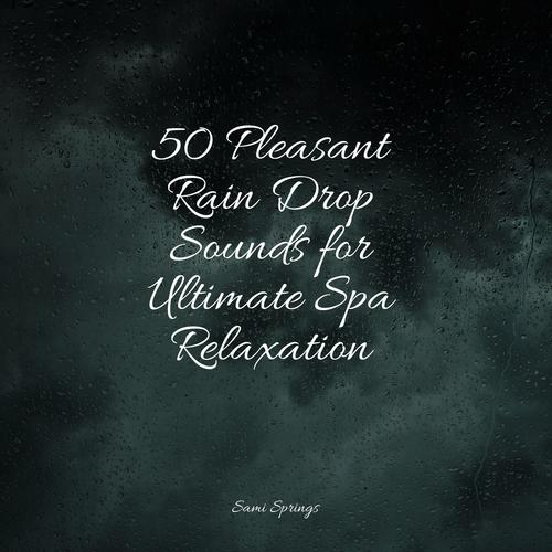 50 Pleasant Rain Drop Sounds for Ultimate Spa Relaxation