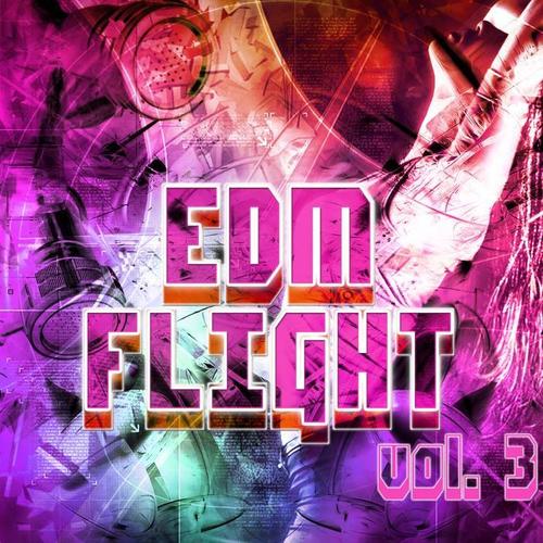 EDM Flight, Vol. 3