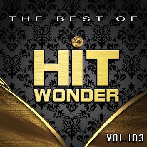 Hit Wonder: The Best of, Vol. 103