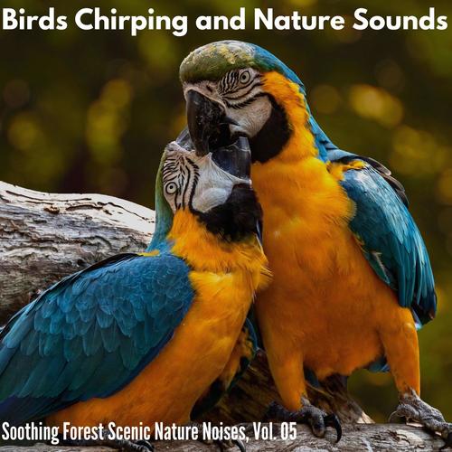 Birds Chirping and Nature Sounds - Soothing Forest Scenic Nature Noises, Vol. 05