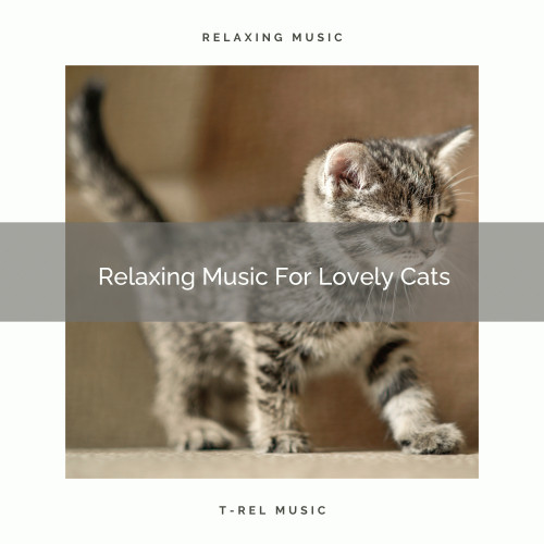 Relaxing Music For Lovely Cats