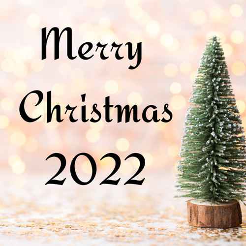 Merry Christmas 2022