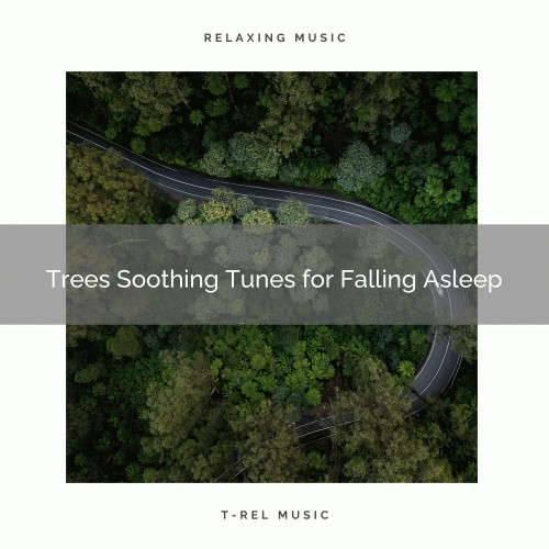 2021 New: Trees Soothing Tunes for Falling Asleep