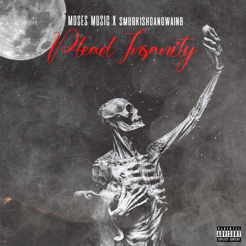 Plead Insanity (feat. smurkishgangwainb & BabyyDollSi) [Explicit]