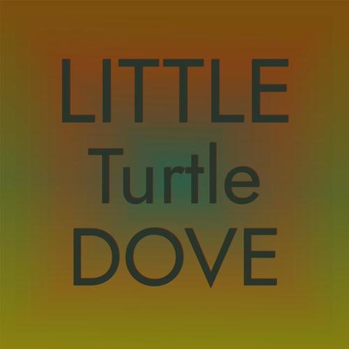 Little Turtle Dove