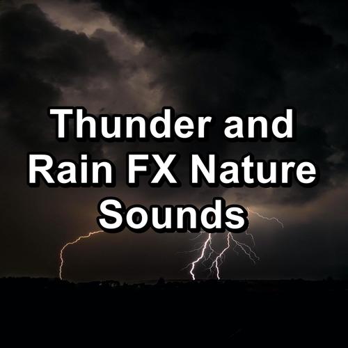 Thunder and Rain FX Nature Sounds