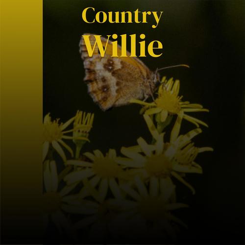 Country Willie