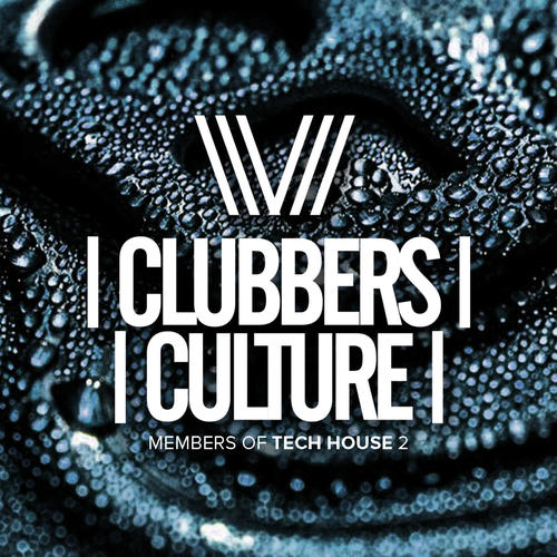 Clubbers Culture: Members Of Tech House