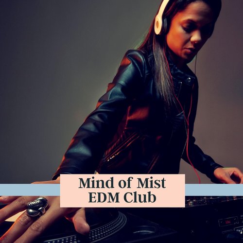 Mind of Mist EDM Club