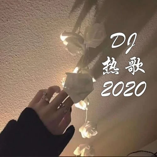 DJ热歌2020