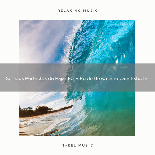 Sonidos Perfectos de Pajaritos y Ruido Browniano para Estudiar