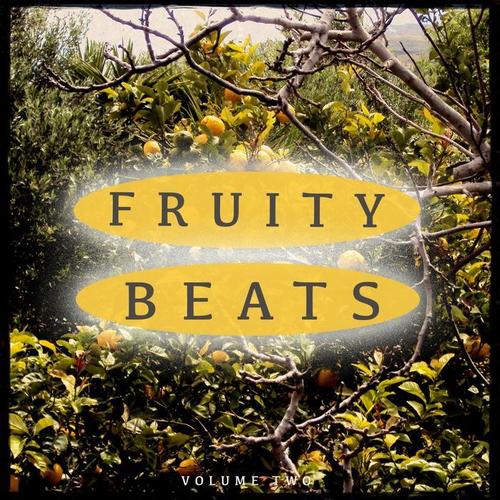 Fruity Beats, Vol. 2 (Amazing Deep House Music) [Explicit]