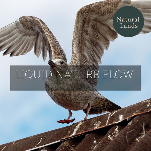 Liquid Nature Flow