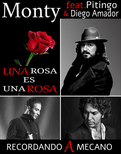 Una Rosa Es Una Rosa