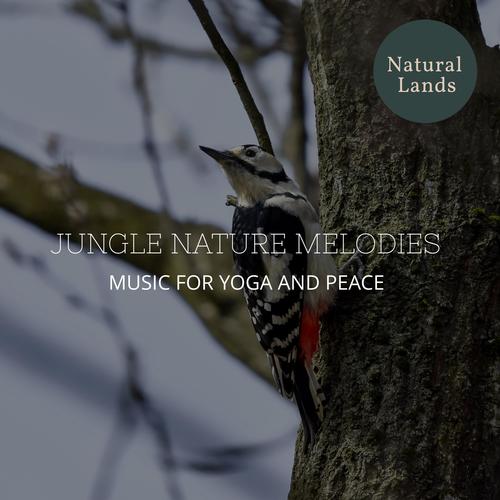 Jungle Nature Melodies - Music for Yoga and Peace