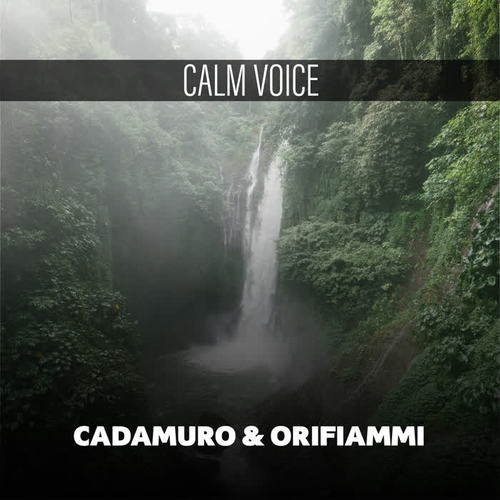 Calm Voice