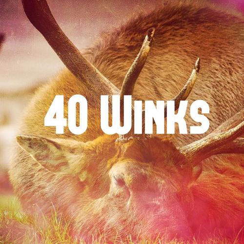 40 Winks