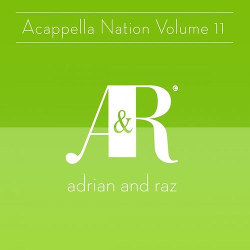 Acappella Nation Volume 11