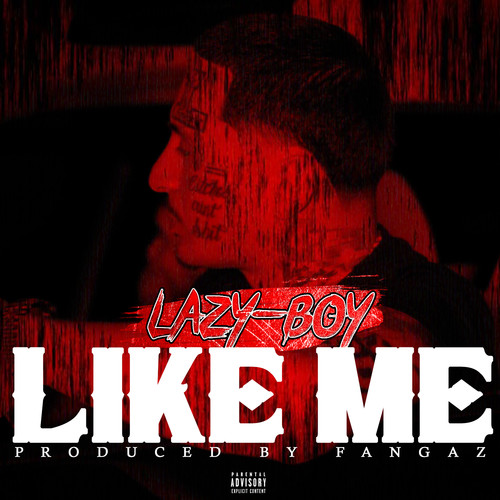 Like Me (Explicit)