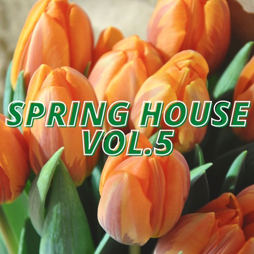 Spring House Vol.5