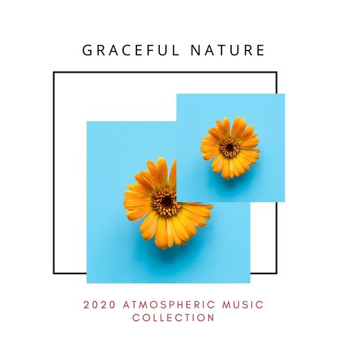 Graceful Nature - 2020 Atmospheric Music Collection