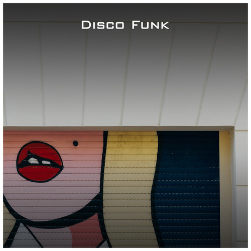 Disco Funk