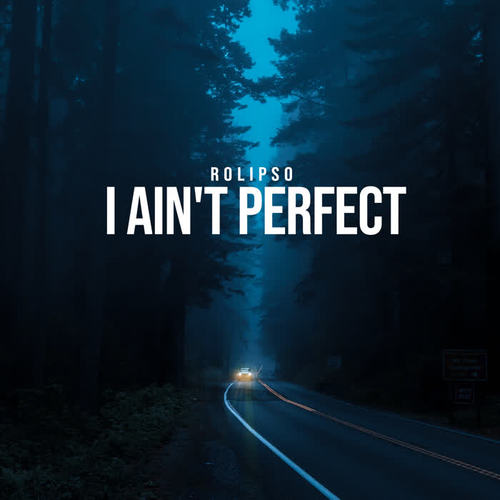 I Ain't Perfect