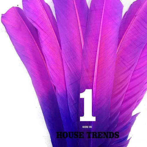 House Trends 1