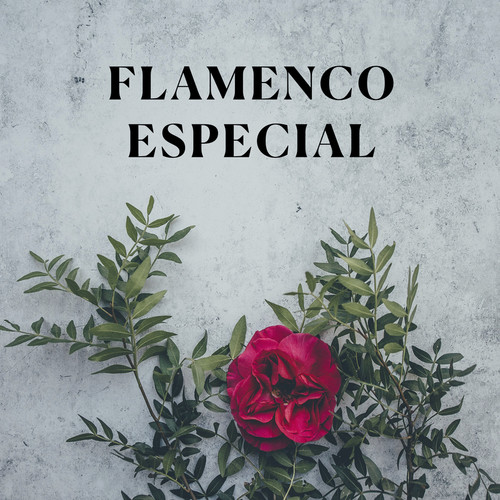 Flamenco Especial