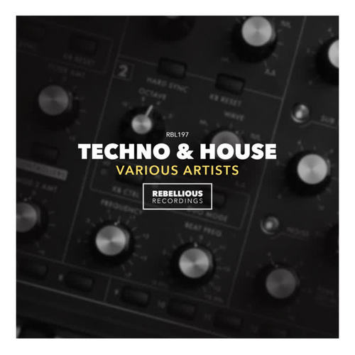 Techno & House