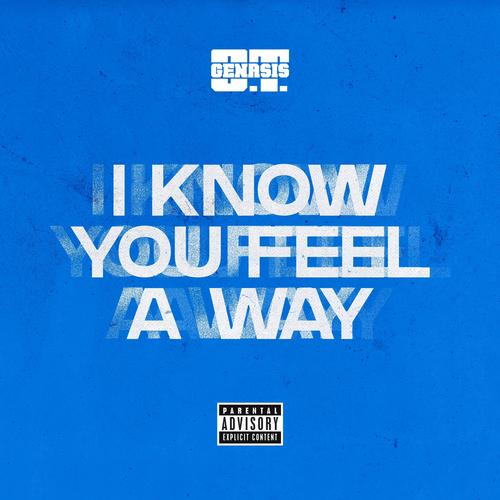 I Know You Feel A Way (Explicit)