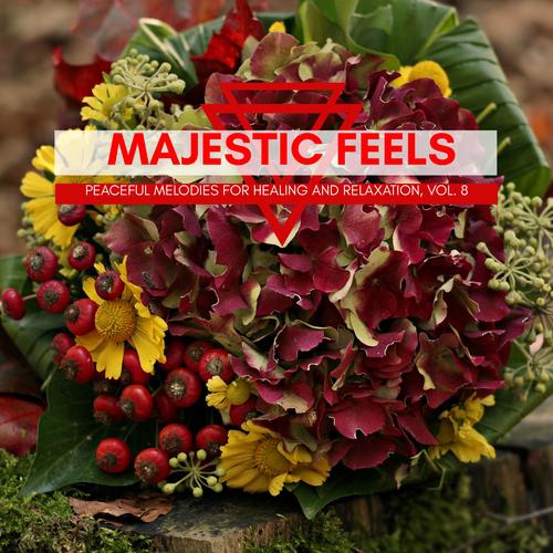 Majestic Feels - Peaceful Melodies For Healing And Relaxation, Vol. 8