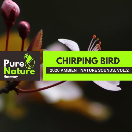 Chirping Bird - 2020 Ambient Nature Sounds, Vol.2