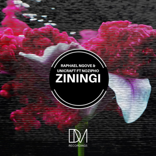 ziningi(original mix)_raphael ngove&unicraft&nozipho&themba