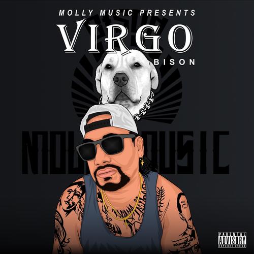 VIRGO (Explicit)