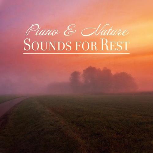 Piano & Nature Sounds for Rest: Compilation of 2019 New Age Most Relaxing Nature Music, Soothing Sounds of Forest, Water, Birds & Many More, Lovely Piano Melodies