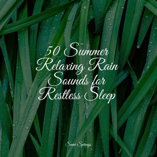 50 Summer Relaxing Rain Sounds for Restless Sleep