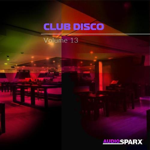 Club Disco Volume 13