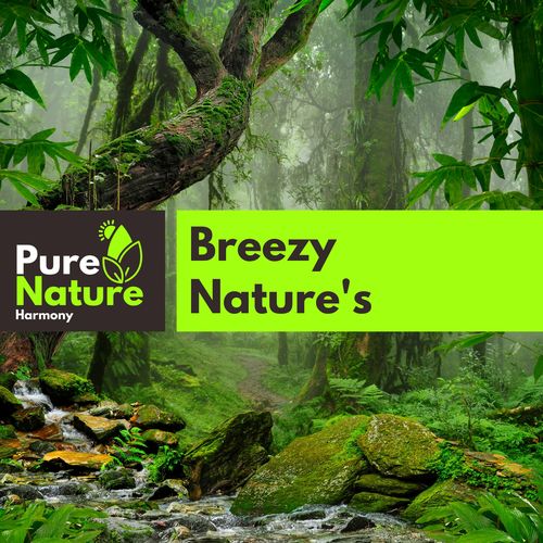 Breezy Nature's