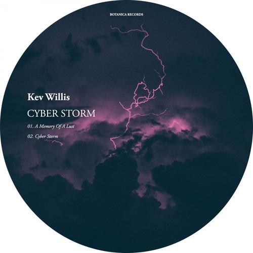 Cyber Storm