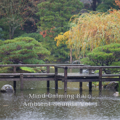 Mind Calming Rain Ambient Sounds Vol. 1