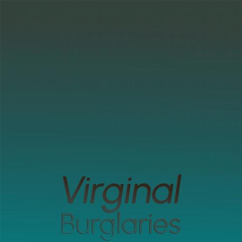 Virginal Burglaries