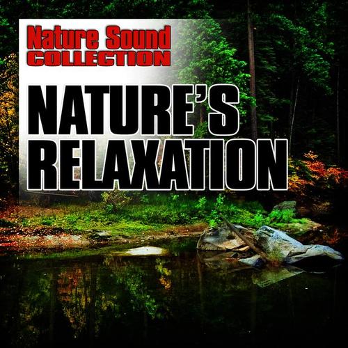 Nature's Relaxation (Nature Sounds)