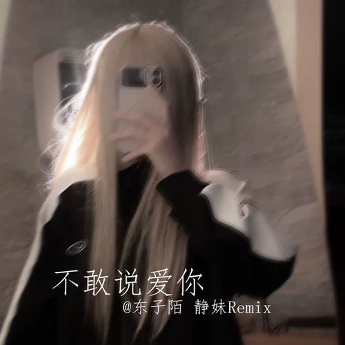 不敢说爱你