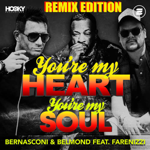 You're My Heart, You're My Soul (Remix Edition)