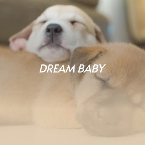 Dream Baby