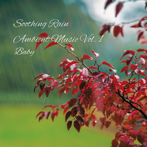 Baby: Soothing Rain Ambient Music Vol. 1