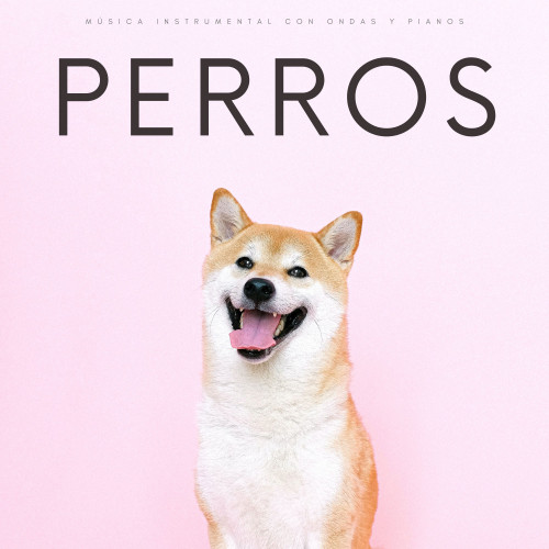 Perros: Música Instrumental Con Ondas y Pianos