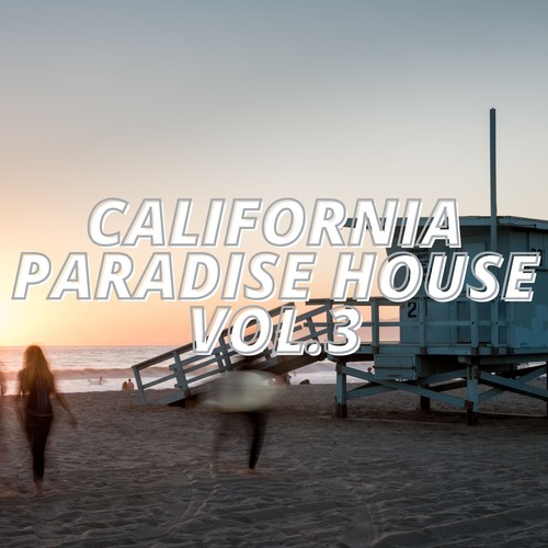 California Paradise House Vol.3